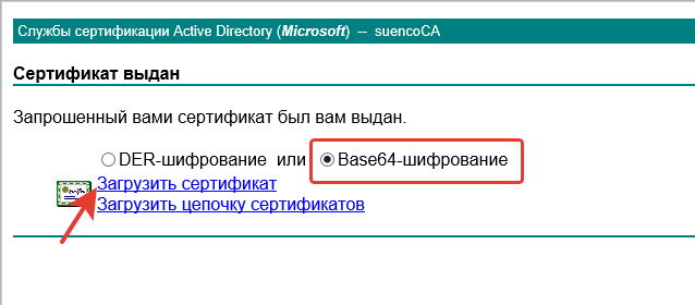 Скачивание ssl сертификата с сайта доменного центра сертификации